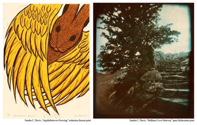 MarkeimAnnouncementImagesSDavis2017